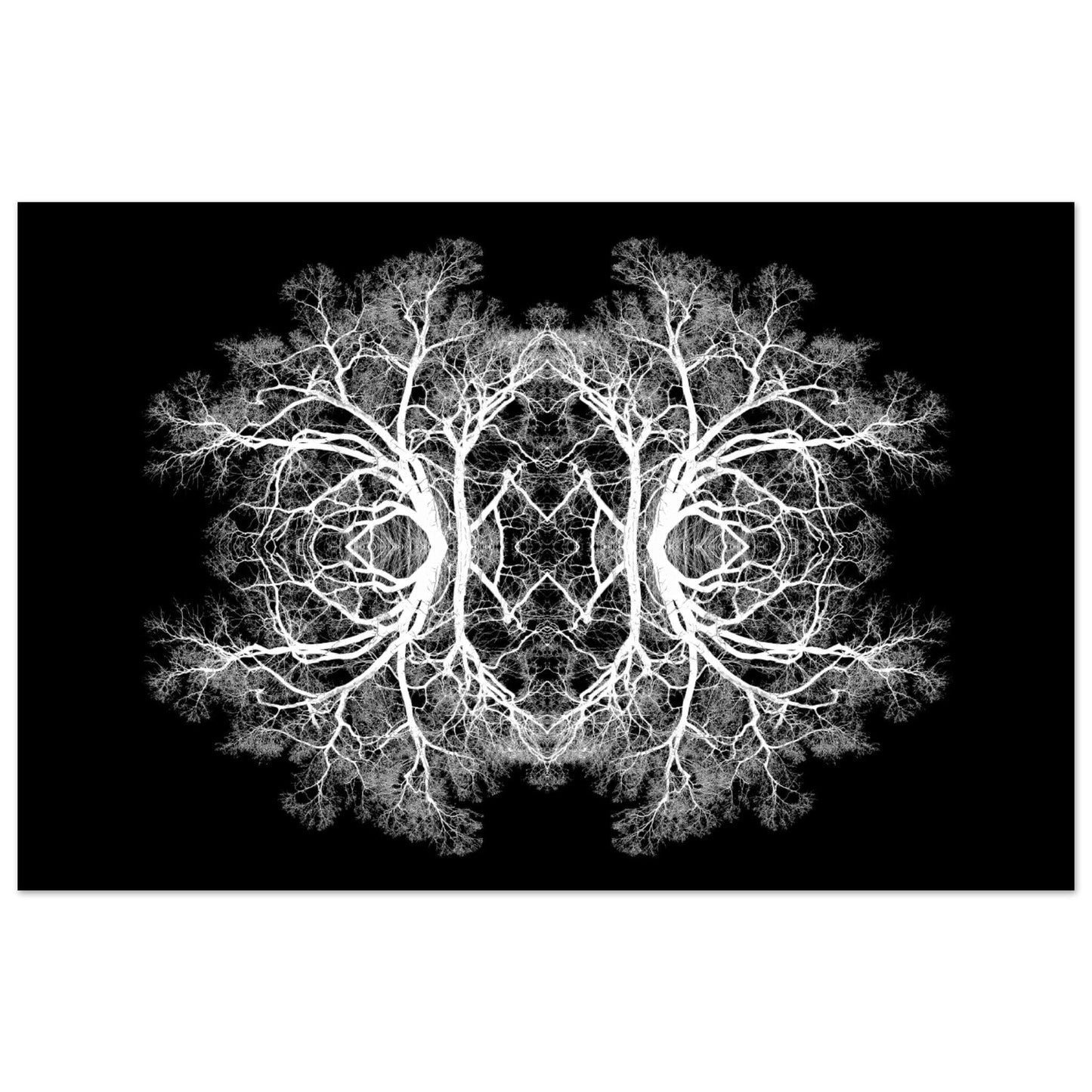 The Tree Of Life - Abstract Art Print (Black Edition) Print Material 28x43  cm / XL (11x17″) / Premium Matte Paper Poster