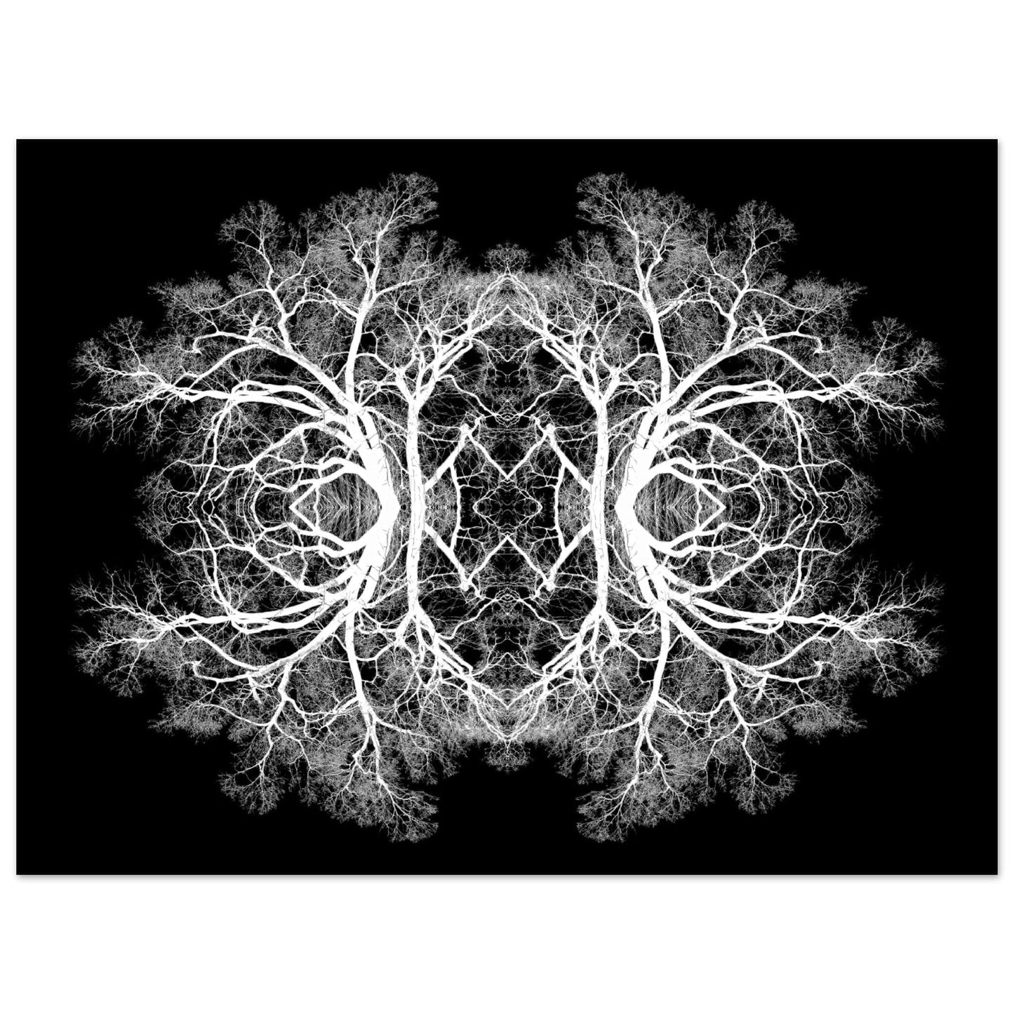 The Tree Of Life - Abstract Art Print (Black Edition) Print Material 45x60 cm / 18x24″ / Premium Matte Paper Poster