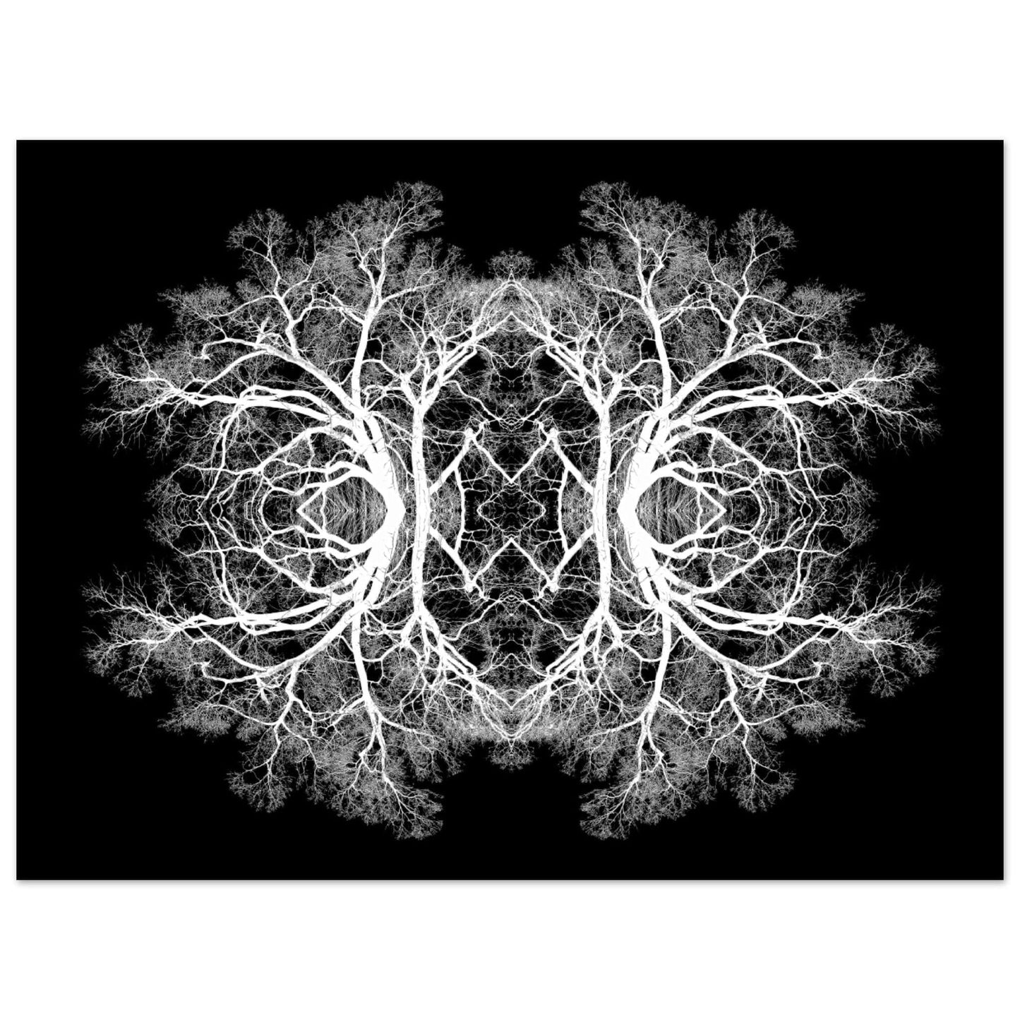 The Tree Of Life - Abstract Art Print (Black Edition) Print Material 45x60 cm / 18x24″ / Premium Semi-Glossy Paper Poster