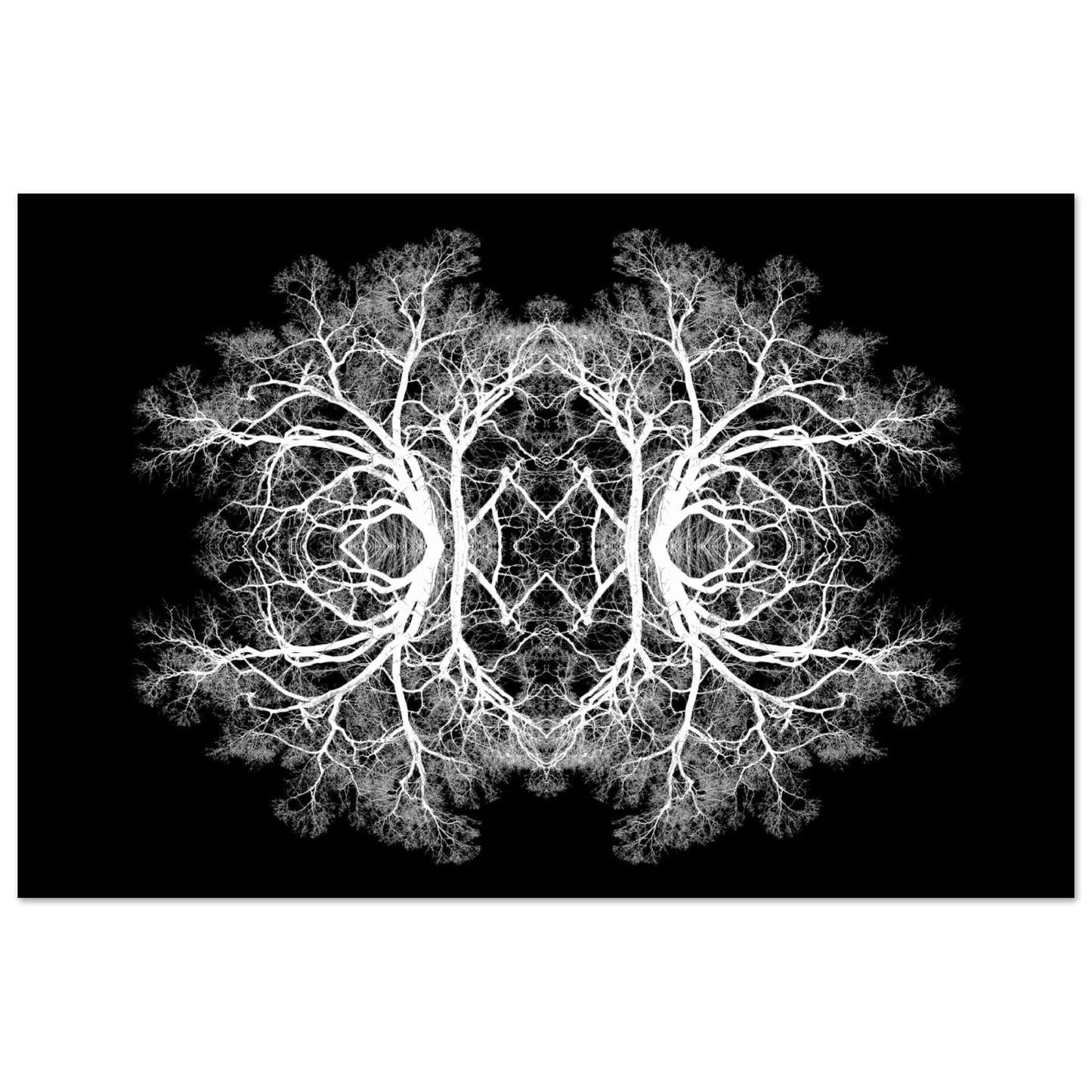 The Tree Of Life - Abstract Art Print (Black Edition) Print Material 60x90 cm / 24x36″ / Premium Matte Paper Poster