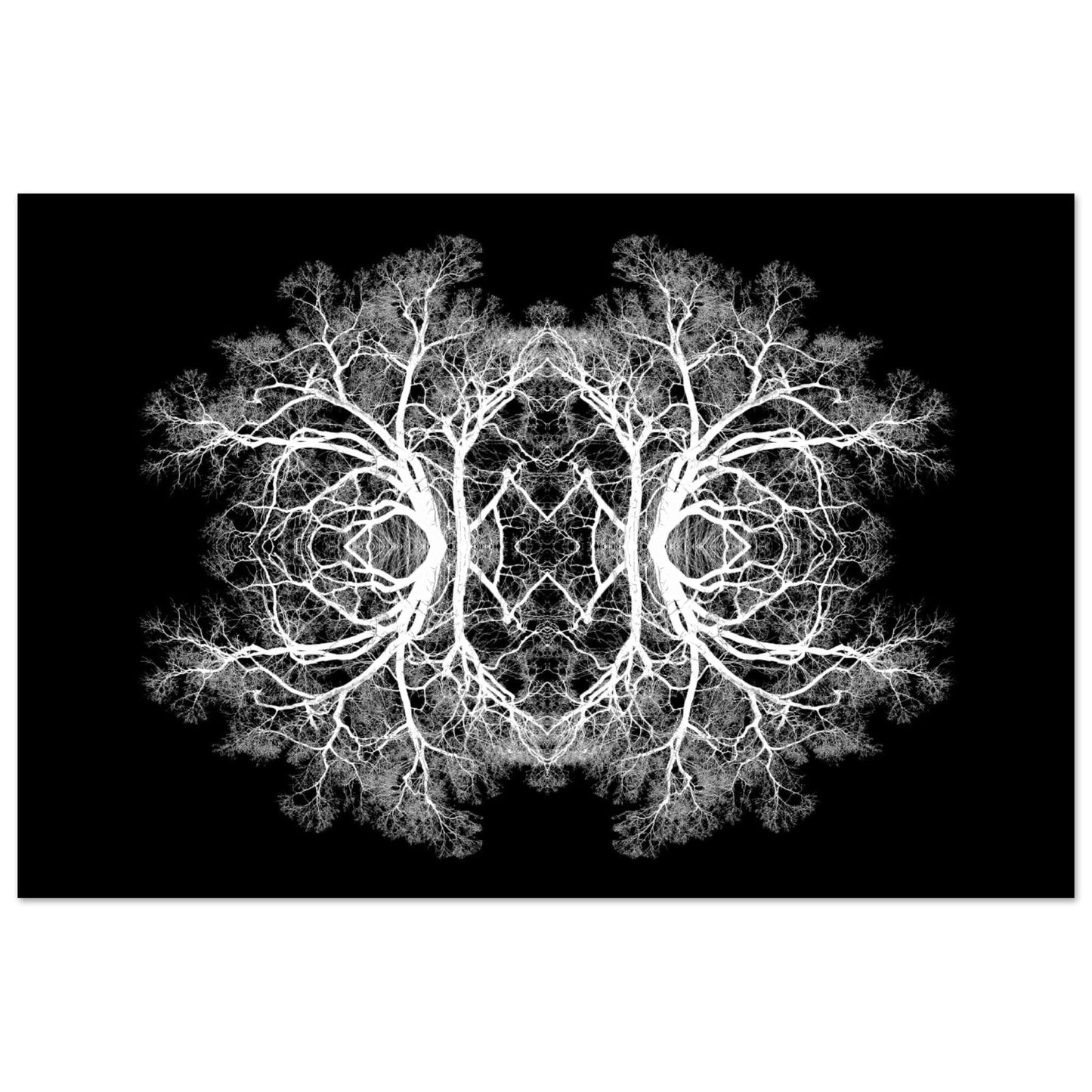 The Tree Of Life - Abstract Art Print (Black Edition) Print Material 60x90 cm / 24x36″ / Premium Semi-Glossy Paper Poster