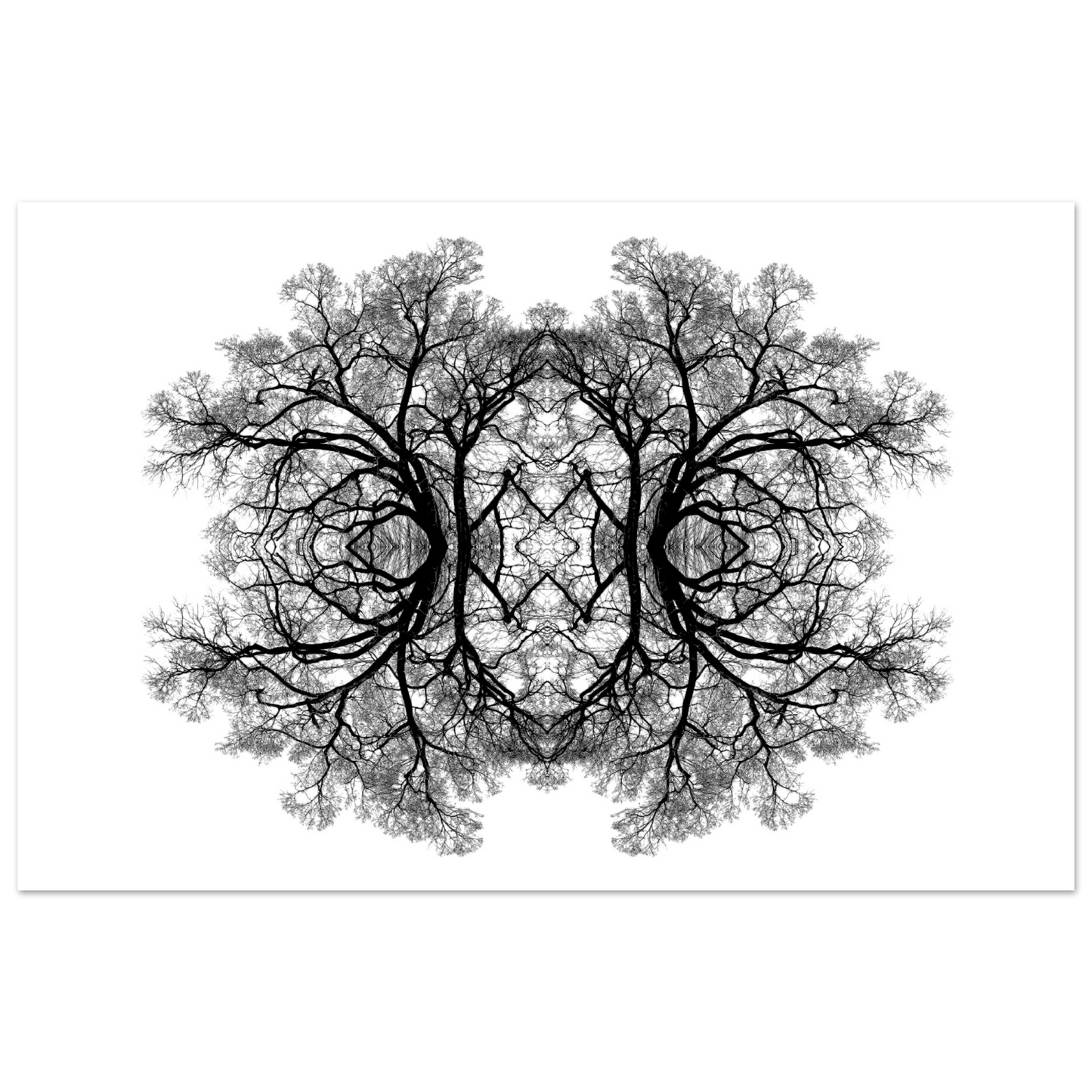 The Tree Of Life - Abstract Art Print (White Edition) Print Material 28x43  cm / XL (11x17″) / Premium Matte Paper Poster