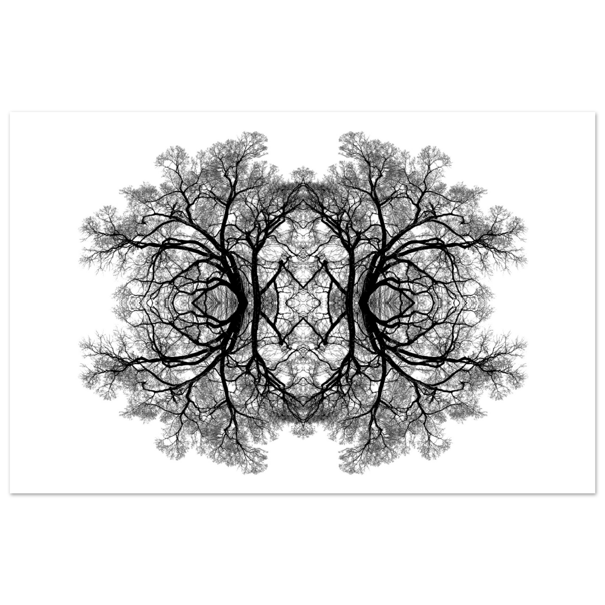The Tree Of Life - Abstract Art Print (White Edition) Print Material 28x43  cm / XL (11x17″) / Premium Matte Paper Poster