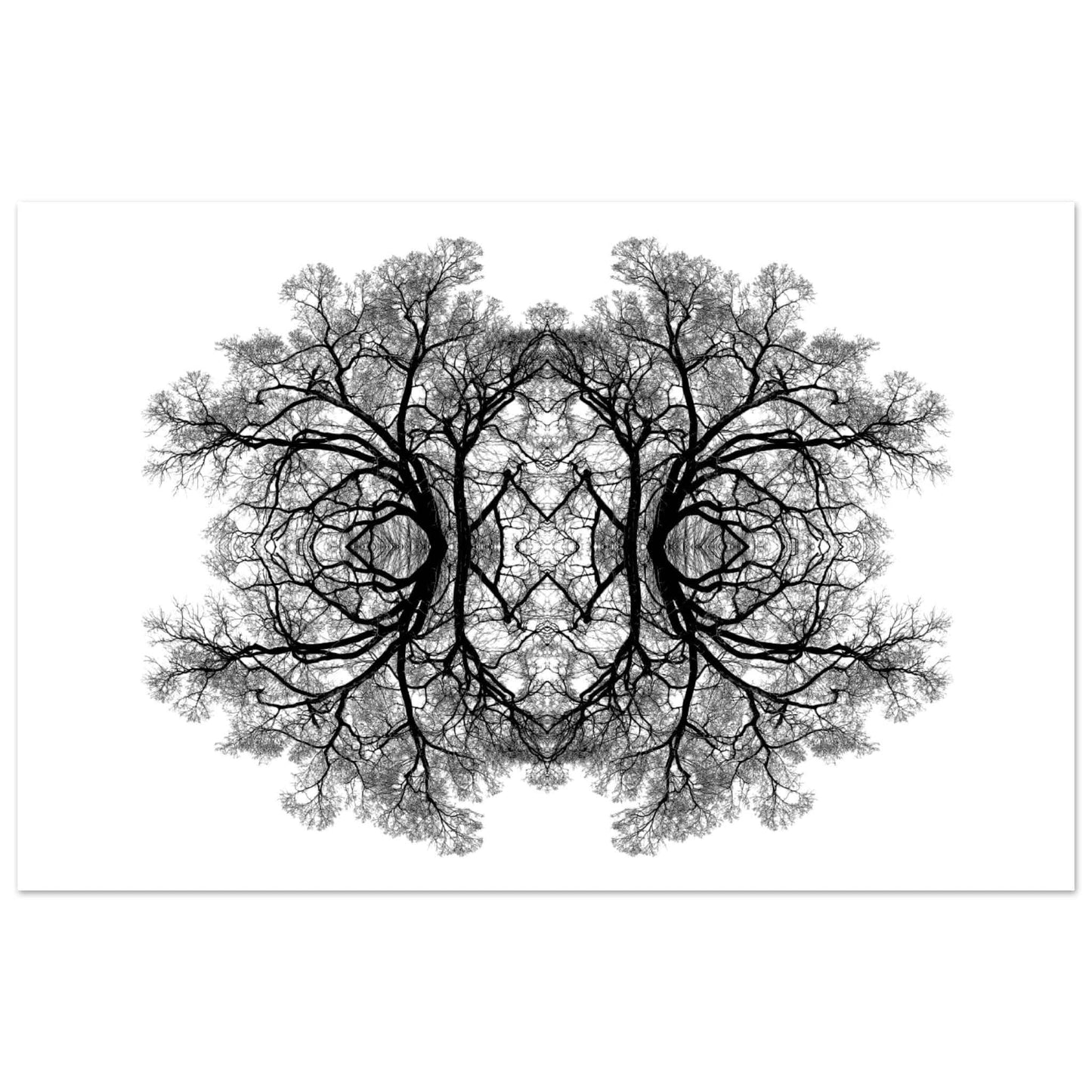 The Tree Of Life - Abstract Art Print (White Edition) Print Material 28x43  cm / XL (11x17″) / Premium Semi-Glossy Paper Poster