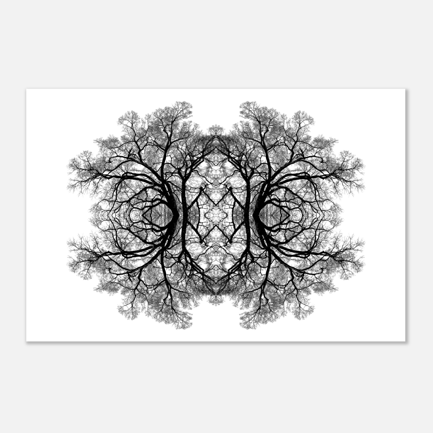 The Tree Of Life - Abstract Art Print (White Edition) Print Material