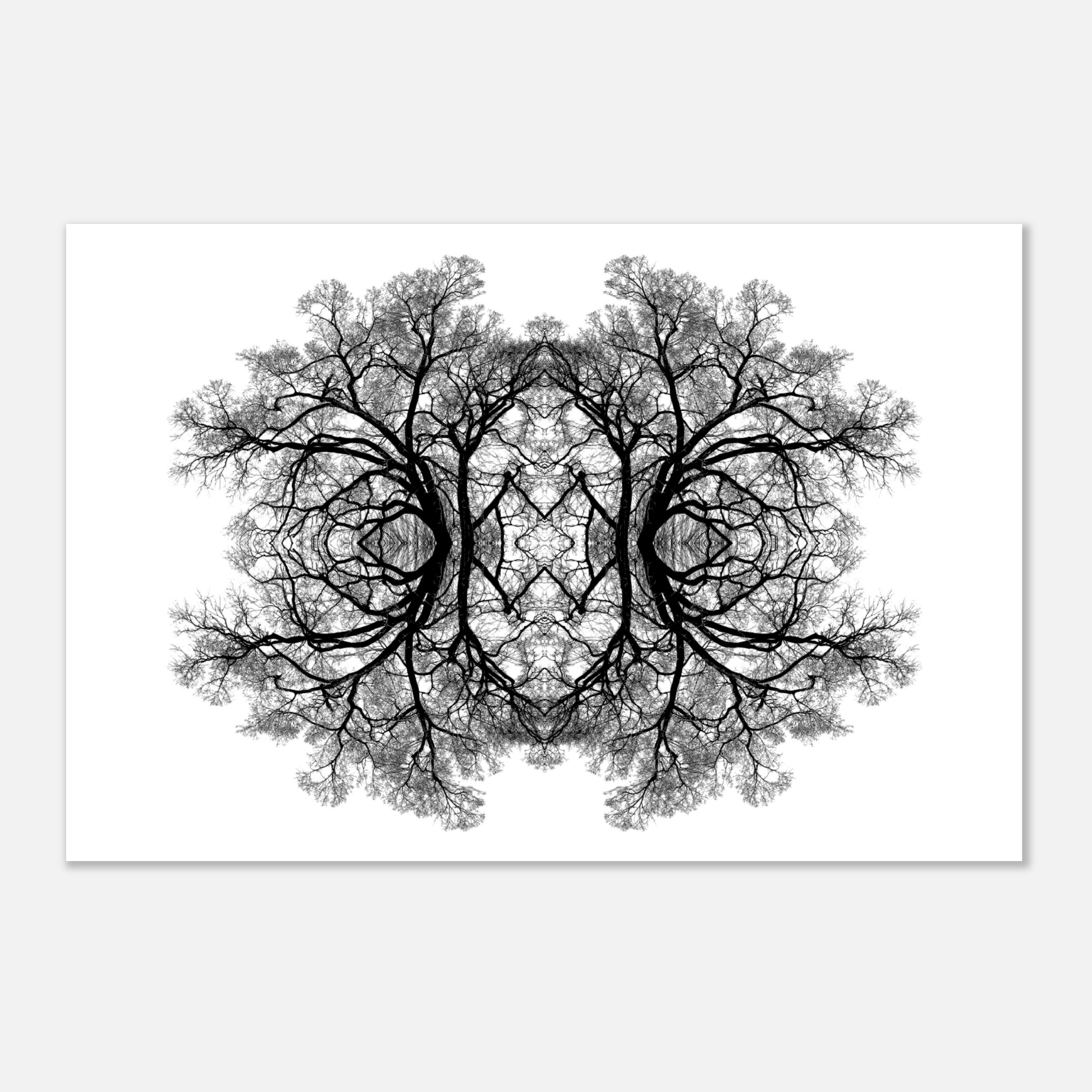 The Tree Of Life - Abstract Art Print (White Edition) Print Material
