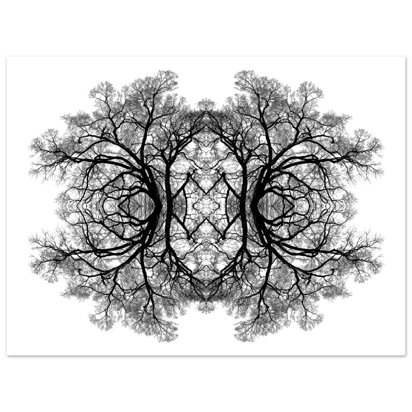 The Tree Of Life - Abstract Art Print (White Edition) Print Material 45x60 cm / 18x24″ / Premium Matte Paper Poster