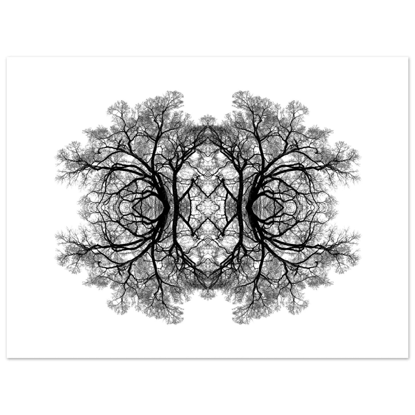 The Tree Of Life - Abstract Art Print (White Edition) Print Material 45x60 cm / 18x24″ / Premium Semi-Glossy Paper Poster