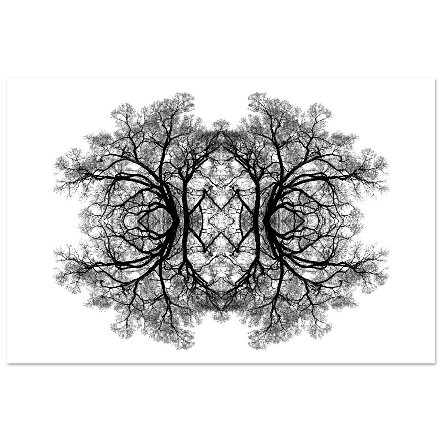 The Tree Of Life - Abstract Art Print (White Edition) Print Material 60x90 cm / 24x36″ / Premium Matte Paper Poster
