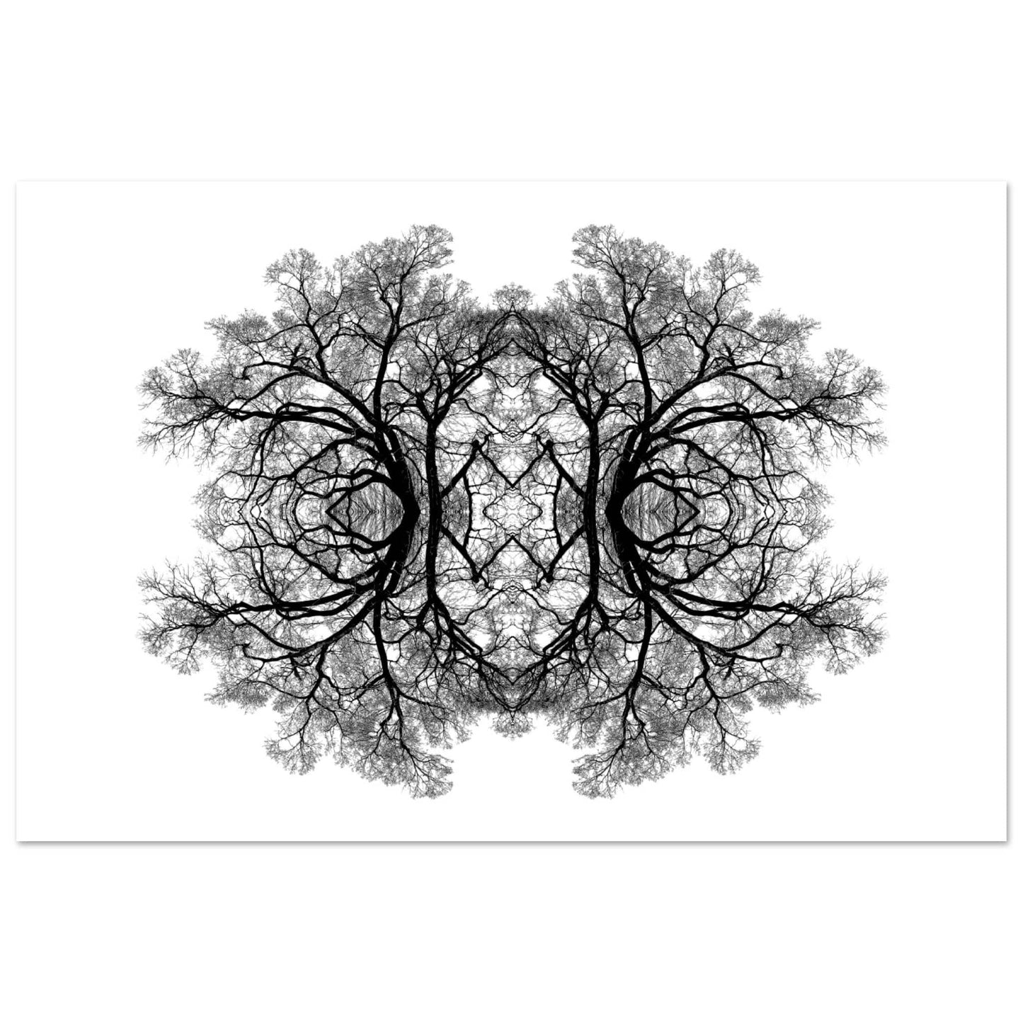 The Tree Of Life - Abstract Art Print (White Edition) Print Material 60x90 cm / 24x36″ / Premium Semi-Glossy Paper Poster